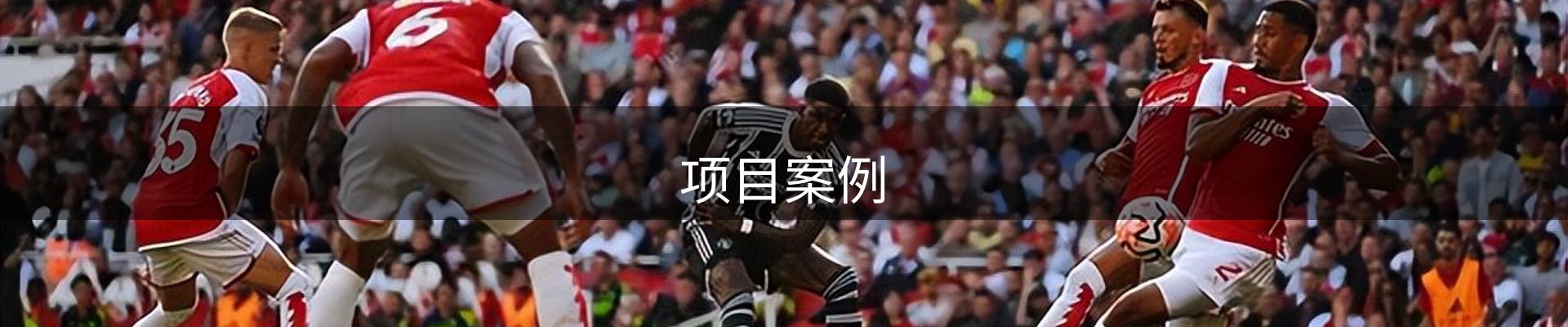 项目案例